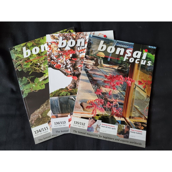 3x Bonsai Focus 2011- #134, 135, 136 English Edition Magazines Books - Picture 1 of 5